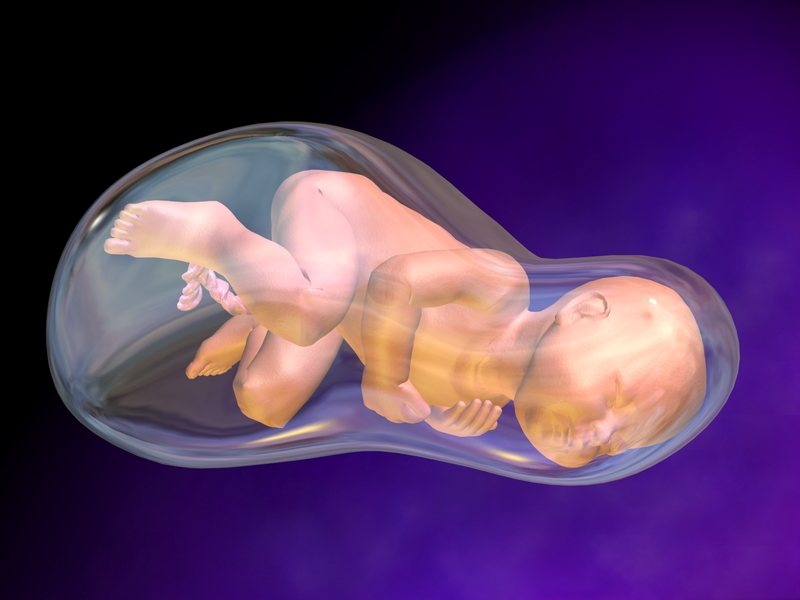 Thai lưu, hay thai chết lưu là tình trạng thai ngừng phát triển ở tuần thứ 20 của thai kỳ hoặc trước thời điểm mẹ chuyển dạ.