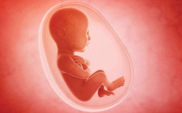 Thai lưu 6 tuần là tình trạng thai nhi ngừng phát triển trong bụng mẹ ở tuần thứ 6 của giai đoạn thai kỳ.