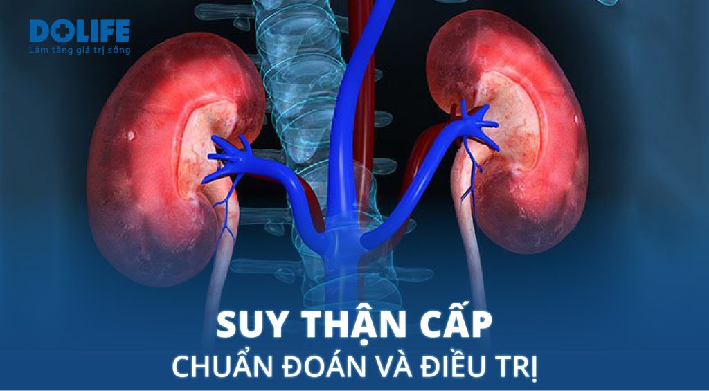 Suy thận cấp: Chẩn đoán điều trị và phòng ngừa