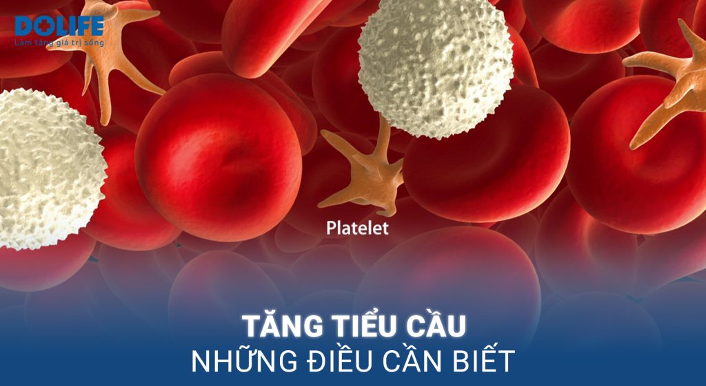Tăng tiểu cầu: Nguyên nhân, chẩn đoán và cách khắc phục