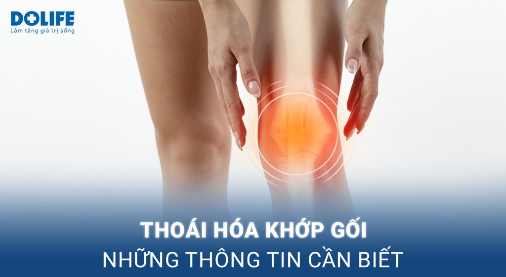 Thoái hóa khớp gối: Nguyên nhân, triệu chứng và cách điều trị