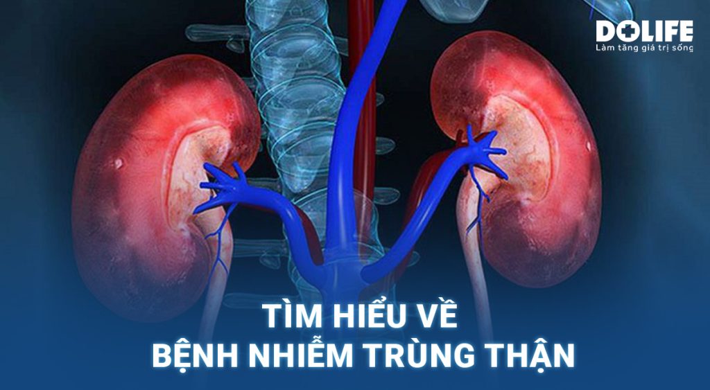 Nhiễm trùng thận: Nguyên nhân, triệu chứng và cách điều trị