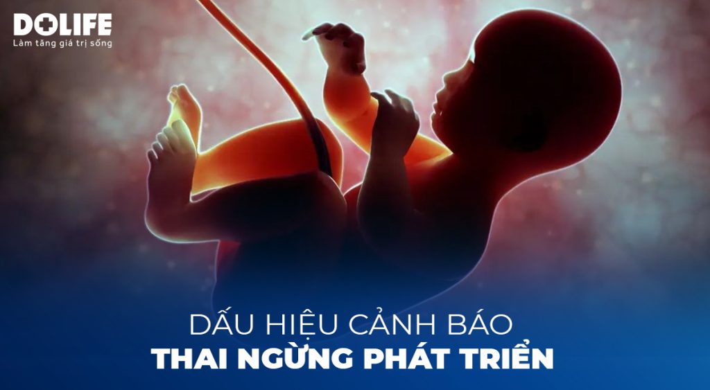 Dấu hiệu cảnh báo thai nhi ngừng phát triển